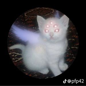 Meet your Posher, Izzy